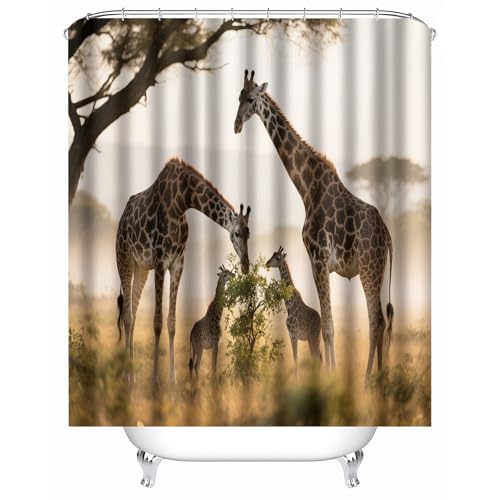 Generisch duschvorhang mit Ringen 150 x 180 cm Giraffenherde duschvorhang ohne Bohren Stilvoller Mikrofaser Sichtschutz für Ferienunterkunft oder Familienbad MY2802 Generisch duschvorhang mit Ringen 150 x 180 cm Giraffenherde duschvorhang ohne Bohren Stilvoller Mikrofaser Sichtschutz für Ferienunterkunft oder Familienbad MY2802 von Generisch