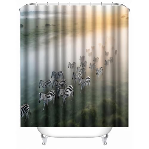 Generisch duschvorhang mit Ringen 150 x 180 cm Zebraherde duschvorhang ohne Bohren Stilvoller Mikrofaser Sichtschutz für Ferienunterkunft oder Familienbad MY3375 Generisch duschvorhang mit Ringen 150 x 180 cm Zebraherde duschvorhang ohne Bohren Stilvoller Mikrofaser Sichtschutz für Ferienunterkunft oder Familienbad MY3375 von Generisch