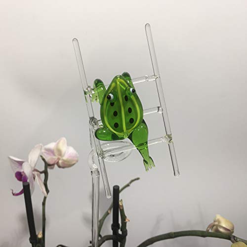 Generisch mundgeblasener Orchideenstab Frosch auf der Leiter von Generisch