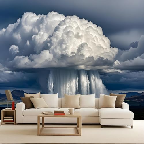 Generisch tapete vintage 400x280cm Weiße Wolken Regensturm vintage tapete Großformatiges 3D Wandbild auf Canvas ohne Kleberückseite, perfekt für Wohnwand EB24-1390 Generisch tapete vintage 400x280cm Weiße Wolken Regensturm vintage tapete Großformatiges 3D Wandbild auf Canvas ohne Kleberückseite, perfekt für Wohnwand EB24-1390 von Generisch