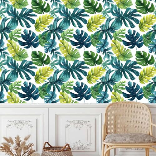 Generisch vinyltapete 44wX500Lcm Tropische Schildkrötengrünblätter tapete blumen Für Wohnzimmer, Schlafzimmer oder Home Office – modernes Design mit hochwertiger Oberfläche EBZ9-262205 Generisch vinyltapete 44wX500Lcm Tropische Schildkrötengrünblätter tapete blumen Für Wohnzimmer, Schlafzimmer oder Home Office – modernes Design mit hochwertiger Oberfläche EBZ9-262205 von Generisch