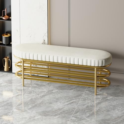 Gepolsterte Aufbewahrungsbank mit Metallrahmen, Schuhregal für Eingangstür, Flur, Schlafzimmer und Wohnzimmer Gepolsterte Aufbewahrungsbank mit Metallrahmen, Schuhregal für Eingangstür, Flur, Schlafzimmer und Wohnzimmer von Generisch