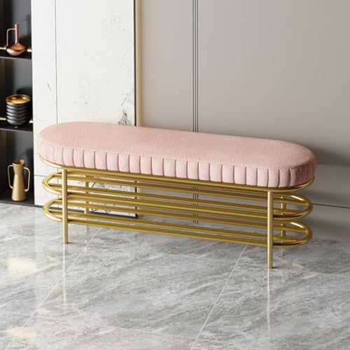 Gepolsterte Aufbewahrungsbank mit Metallrahmen, Schuhregal für Eingangstür, Flur, Schlafzimmer und Wohnzimmer Gepolsterte Aufbewahrungsbank mit Metallrahmen, Schuhregal für Eingangstür, Flur, Schlafzimmer und Wohnzimmer von Generisch