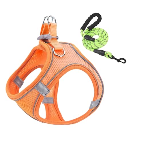 Geschirr Und Leine Set Für Kleine Hunde, Verstellbares Hundegeschirr Mit Leinen Für Welpen Und Kleine Hunde, Reflektierende Weste für Welpen Kätzchen und Katzen für Reisen mit dem Auto Training Tierar von Generisch