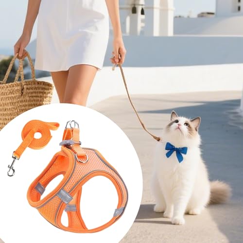 Geschirr Und Leine Set Für Kleine Hunde - Anti-Zug Geschirr Mit Leine Für Hunde | Atmungsaktives Reflektierendes Welpen Katzen Für Training Auto Reisen Wandern Geschirr Und Leine Set Für Kleine Hunde - Anti-Zug Geschirr Mit Leine Für Hunde | Atmungsaktives Reflektierendes Welpen Katzen Für Training Auto Reisen Wandern von Generisch