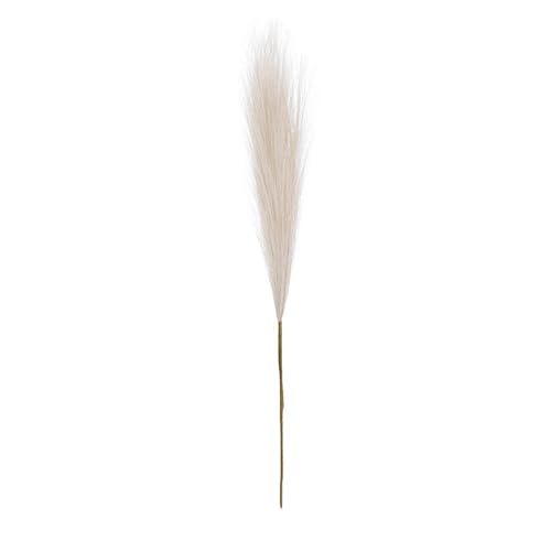 Getrocknete Blumensträuße - Künstliche Dekorationen, Rustikales Flauschiges Paket | Soft Aesthetic Pampas Getrocknete Blumen, Boho Blumen Für Boho-Zimmerdekoration, Couchtische von Generisch