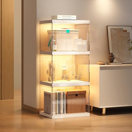 Glasvitrine mit Acryltür für Sammlerstücke und Bücher – Eckregale für Vitrine und Schutz von Generisch