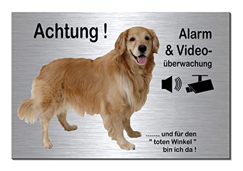 Golden Retriever-Alarm + Videoüberwachung-Hund-Schild-Hundeschild-300 x 200 x 3 mm-Aluminium Edelstahloptik-Hunde-Tierschild-Warnschild-Hinweisschild (Silber 133-42 ohne Löcher) von Generisch