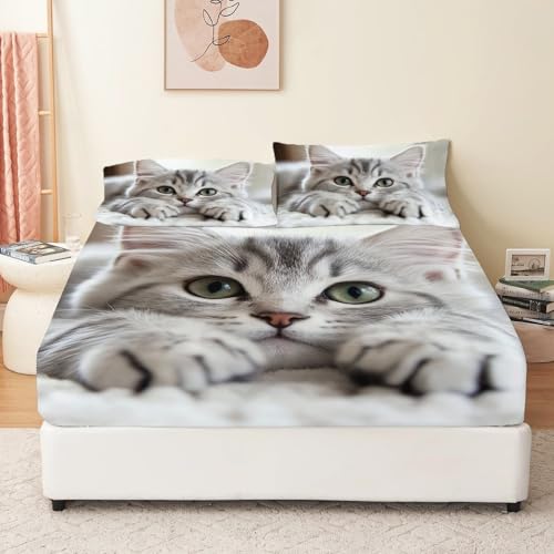 Grau Spannbettlaken 90 x 190 cm Kinder Mädchen Getigerte Katze auf Teppich Muster Bettlaken Boxspringbett Topper Mikrofaser Kindermotiv Spannbetttuch für Matratze bis 30 cm Hohe Grau Spannbettlaken 90 x 190 cm Kinder Mädchen Getigerte Katze auf Teppich Muster Bettlaken Boxspringbett Topper Mikrofaser Kindermotiv Spannbetttuch für Matratze bis 30 cm Hohe von Generisch