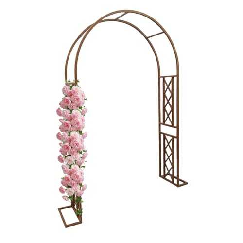Großer Gartenbogen Pergola aus Metall für Kletterpflanzen Schwerlast Rankhilfe für Rosen Outdoor Laube Unterstützung Event Dekoration Stabile Ausführung erhältlich in 140-340cm Schwarz/Braun Großer Gartenbogen Pergola aus Metall für Kletterpflanzen Schwerlast Rankhilfe für Rosen Outdoor Laube Unterstützung Event Dekoration Stabile Ausführung erhältlich in 140-340cm Schwarz/Braun von Generisch