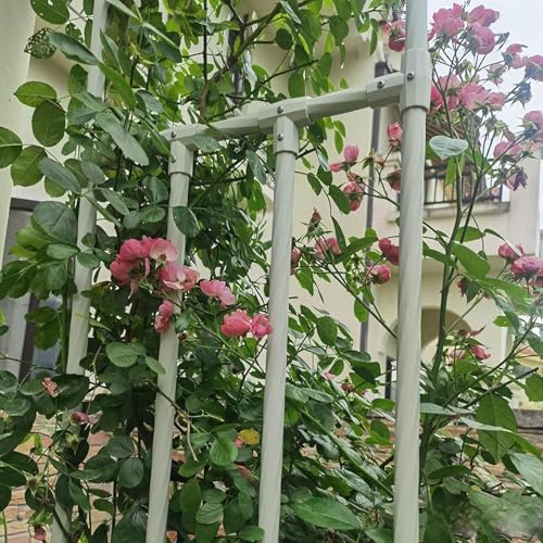 Großer Gartenbogen Pergola aus Metall zur Wandmontage, 60-240 cm, robustes wetterbeständiges Rankgitter für Kletterpflanzen, Rosen, Reben, einfache Montage von Generisch
