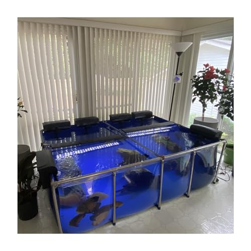 Großes Aquarium Pool Teich für den Außenbereich mit transparenter Sichtscheibe PVC Canvas Stahlrahmen Ablassventil - idealer Bing Wassertank für Hinterhoffische und Wasserlebewesen Großes Aquarium Pool Teich für den Außenbereich mit transparenter Sichtscheibe PVC Canvas Stahlrahmen Ablassventil - idealer Bing Wassertank für Hinterhoffische und Wasserlebewesen von Generisch