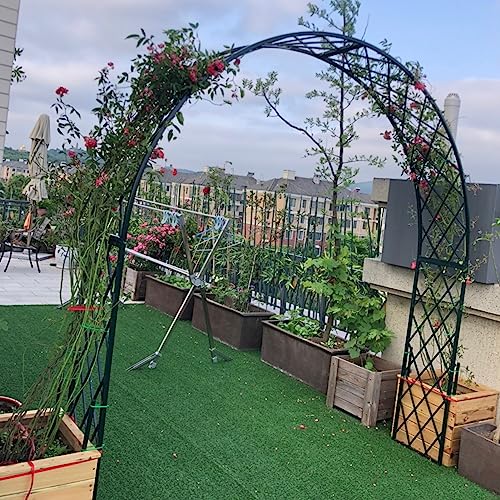 Grüner Metall-Gartenbogen – Iron Art Rose Torbogen für Kletterpflanzen, Outdoor-Spalier-Dekoration für Hinterhof, Rasen und Innenbereich – langlebige Pergola-Unterstützung Grüner Metall-Gartenbogen – Iron Art Rose Torbogen für Kletterpflanzen, Outdoor-Spalier-Dekoration für Hinterhof, Rasen und Innenbereich – langlebige Pergola-Unterstützung von Generisch