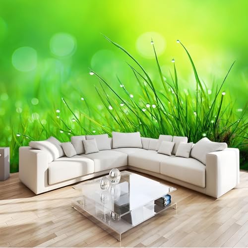 Grünes Gras Fototapete 400 x 280 cm Vlies Motivtapeten Moderne Wandtapete Wohnzimmer Schlafzimmer Study Wohnzimmer Restaurant Cafe Wand Dekoration, Grünes Gras Fototapete 400 x 280 cm Vlies Motivtapeten Moderne Wandtapete Wohnzimmer Schlafzimmer Study Wohnzimmer Restaurant Cafe Wand Dekoration, von Generisch