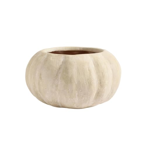 Halloween-Kürbis-Pflanzgefäß, dekorativer Blumentopf für drinnen und draußen, für Sukkulenten, Ernte, Herbst, Erntedankfest, Halloween Halloween-Kürbis-Pflanzgefäß, dekorativer Blumentopf für drinnen und draußen, für Sukkulenten, Ernte, Herbst, Erntedankfest, Halloween von Generisch