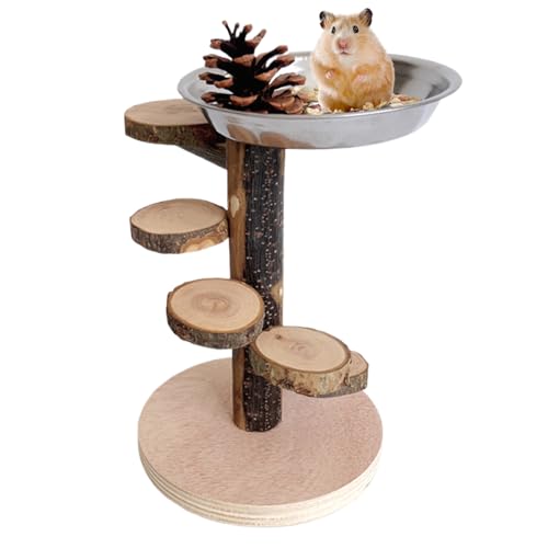 Hamster Spielplatz, Kletterrampe Leiter Spielzeug, 23.0x14.0x14.0 cm, fördert geistige Stimulation, Haustier Anreicherung Klettern mit Edelstahl Futternapf zum Schleifen, Spielen von Generisch