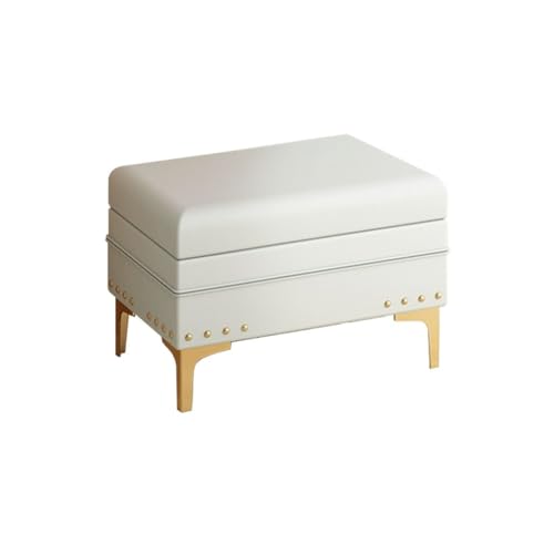 Hellgraue Sitzbank mit Stauraum, 60 cm, multifunktionaler Fußhocker für Wohnzimmer, Schlafzimmer und Flur, stilvoller Fenstersitz mit Lift-Top-Deckel für zusätzlichen Stauraum von Generisch