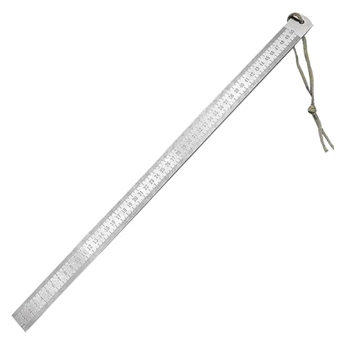 Herrscher Mit Klarem Maßstab Und Abgerundeten Kanten Die Für Lehrer Und Professionelle Geeignet Sind (Silver, One Size) von Generisch