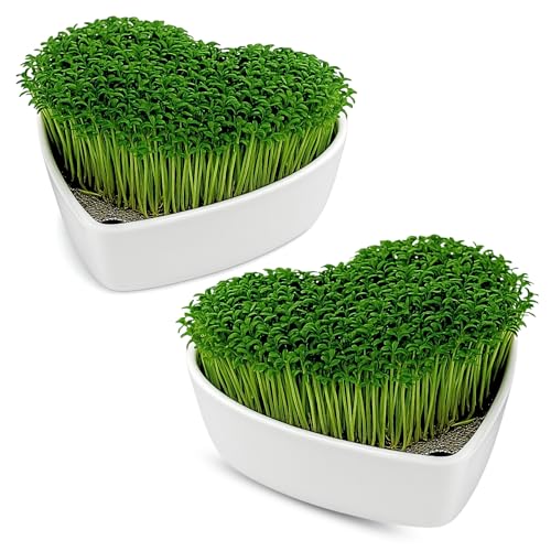 Herzförmige Kresse Anzuchtschalen im 2er Set – stilvolles Anzuchtset für frische Kresse & Microgreens mit Edelstahlsieb – neu, dekorativ & funktional für Küche, Fensterbank & Zuhause Herzförmige Kresse Anzuchtschalen im 2er Set – stilvolles Anzuchtset für frische Kresse & Microgreens mit Edelstahlsieb – neu, dekorativ & funktional für Küche, Fensterbank & Zuhause von Generisch
