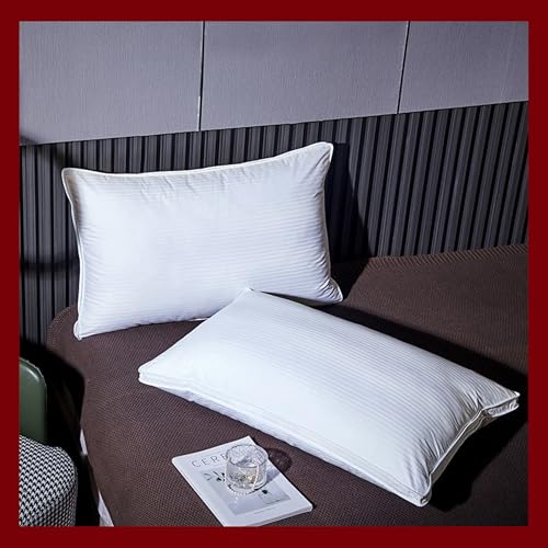 Hochwertiges Daunenkissen - 75x50cm - Hotelqualität - Bezug: 100% Baumwolle - Füllung: 100% Gänsedaunen - Oeko Tex® Zertifiziert von Generisch