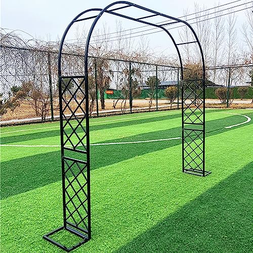 Hochzeit Gartenbogen mit Rankgitter 140x180cm Metall Pflanze Klettergerüst Perfekt für Hochzeiten im Freien Pergola Dekor Ideal für Reben und Blumen Hochzeit Gartenbogen mit Rankgitter 140x180cm Metall Pflanze Klettergerüst Perfekt für Hochzeiten im Freien Pergola Dekor Ideal für Reben und Blumen von Generisch