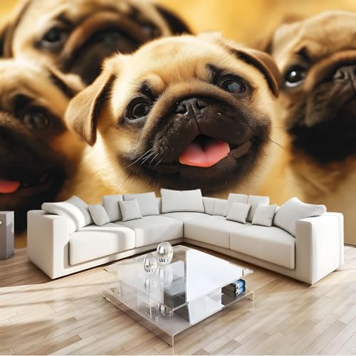 Hund Fototapete 400 x 280 cm Vlies Motivtapeten Moderne Wandtapete Wohnzimmer Schlafzimmer Study Wohnzimmer Restaurant Cafe Wand Dekoration, Hund Fototapete 400 x 280 cm Vlies Motivtapeten Moderne Wandtapete Wohnzimmer Schlafzimmer Study Wohnzimmer Restaurant Cafe Wand Dekoration, von Generisch
