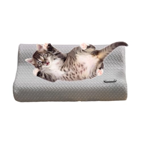 Hunde Nackenkissen,Weicher Nackenstützkissen Für Haustier Tiefschlaf - Cartoon Kopfkissen Für Kleine Hunde Und Katzen | Zum Nappen Ausruhen Zuhause Wohnzimmer Schlafzimmer Boden Sofas Hundebetten Hunde Nackenkissen,Weicher Nackenstützkissen Für Haustier Tiefschlaf - Cartoon Kopfkissen Für Kleine Hunde Und Katzen | Zum Nappen Ausruhen Zuhause Wohnzimmer Schlafzimmer Boden Sofas Hundebetten von Generisch