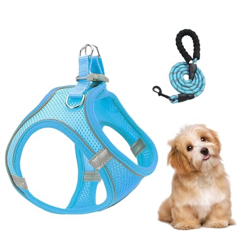 Hundegeschirr Und Leinen | Mesh Geschirr und Hundeleinen Kombination - Reflektierende Weste für Welpen Kätzchen und Katzen für Reisen mit dem Auto Training Tierarztbesuche Outdoor von Generisch