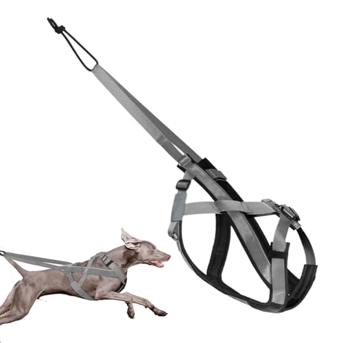 Hundegeschirr Zum Ziehen, Reflektierendes Laufgeschirr Für Hunde, Verstellbares Zugseil Für Schlittenhundetraining Spaziergänge Laufsport Outdoor Aktivitäten von Generisch