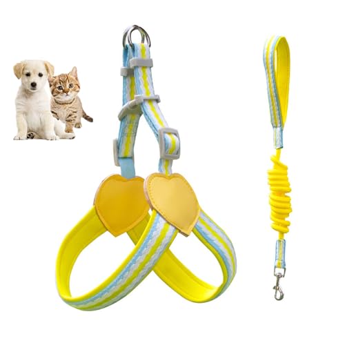 Hundegeschirr für kleine Hunde, kein Ziehen, verstellbare Weste mit 2 Leinenclips, ideal für Welpen von Generisch