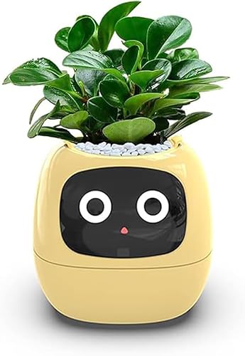 Intelligenter Blumentopf für Zimmerpflanzen - Intelligenter Übertopf mit 49 Ausdrücken, 7 Sensoren, LCD-Display, APP-Steuerung - Ideal für Heim- und Schreibtisch-Setup von Generisch