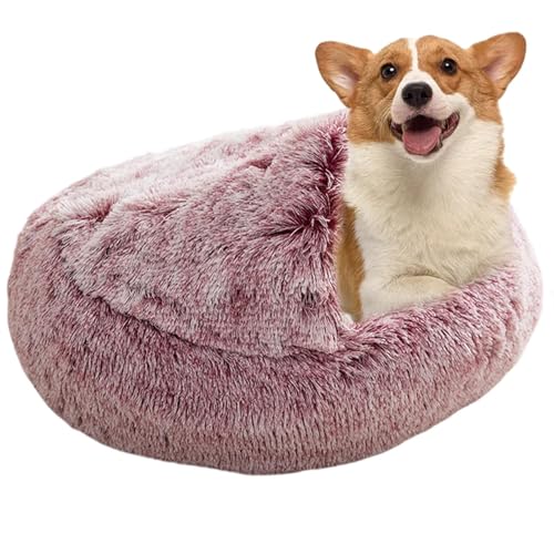Katzenbett – bequemes Muschelbett für Haustiere, warmes, weiches Plüsch-Katzenbett für den Innenbereich, warme Katzenbetten mit Kapuze für Zuhause Katzenbett – bequemes Muschelbett für Haustiere, warmes, weiches Plüsch-Katzenbett für den Innenbereich, warme Katzenbetten mit Kapuze für Zuhause von Generisch