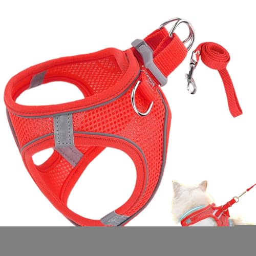 Katzengeschirr | Weiches Reflektierendes Mesh Geschirr Und Leine,Mittel Groß Geschirr für Wandern Camping Training Outdoor Katzengeschirr | Weiches Reflektierendes Mesh Geschirr Und Leine,Mittel Groß Geschirr für Wandern Camping Training Outdoor von Generisch