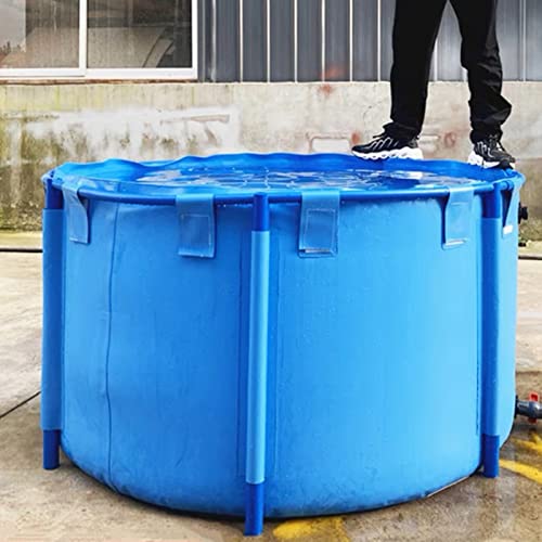 Kiddie Pool Aufstellpool Rund Oval Summer Relax Pool für Kinder und Haustiere - Robuster Kunststoff & Stahlrahmen - Versch Kiddie Pool Aufstellpool Rund Oval Summer Relax Pool für Kinder und Haustiere - Robuster Kunststoff & Stahlrahmen - Versch von Generisch