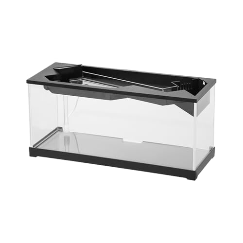 Kleines Aquarium, Desktop-Fischtank, Fischtank Mit Filter | Schreibtisch Turtle Hydroponic Pflanzaquarium,Turtle Habitat Fish Bowl Mit Zyklussystem Für Zuhause, Studio, Tischplatte Kleines Aquarium, Desktop-Fischtank, Fischtank Mit Filter | Schreibtisch Turtle Hydroponic Pflanzaquarium,Turtle Habitat Fish Bowl Mit Zyklussystem Für Zuhause, Studio, Tischplatte von Generisch