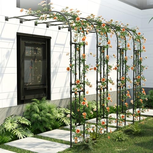 Kletterpflanzenbogen aus Metall – Indoor/Outdoor Pergola für Garten Rasen Einfache Montage Schwarz 180 B x H 240 cm – Perfekte Unterstützung für Reben und Blumen Kletterpflanzenbogen aus Metall – Indoor/Outdoor Pergola für Garten Rasen Einfache Montage Schwarz 180 B x H 240 cm – Perfekte Unterstützung für Reben und Blumen von Generisch