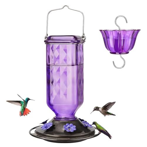 Kolibri-Futterspender aus Glas – Hängender Hof Kolibri-Futterspender Gartendekoration mit mehreren Anschlüssen, Vogelfutterflasche für Terrasse, Balkon, Hinterhof, Tisch, Vogelbeobachtung Kolibri-Futterspender aus Glas – Hängender Hof Kolibri-Futterspender Gartendekoration mit mehreren Anschlüssen, Vogelfutterflasche für Terrasse, Balkon, Hinterhof, Tisch, Vogelbeobachtung von Generisch
