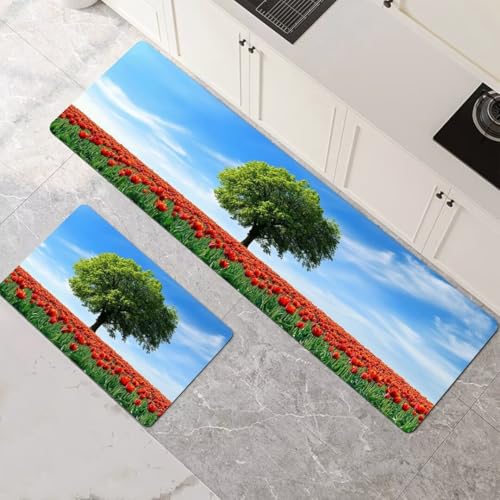 Küchenteppich 2 Stück, Absorbierende Küchenmatte Plant Küchenläufer Rutschfest Waschbar Teppich Küche Läufer Flur Bodenmatte, Lang Carpet Rug für Küchen, Badezimmer Home Decor 70x100cm+70x210cm 1-511 Küchenteppich 2 Stück, Absorbierende Küchenmatte Plant Küchenläufer Rutschfest Waschbar Teppich Küche Läufer Flur Bodenmatte, Lang Carpet Rug für Küchen, Badezimmer Home Decor 70x100cm+70x210cm 1-511 von Generisch