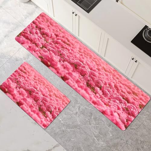 Küchenteppich 2 Stück, Absorbierende Küchenmatte Rose Küchenläufer Rutschfest Waschbar Teppich Küche Läufer Flur Bodenmatte, Lang Carpet Rug für Küchen, Badezimmer Home Decor 120x180cm+120x360cm 1-601 von Generisch