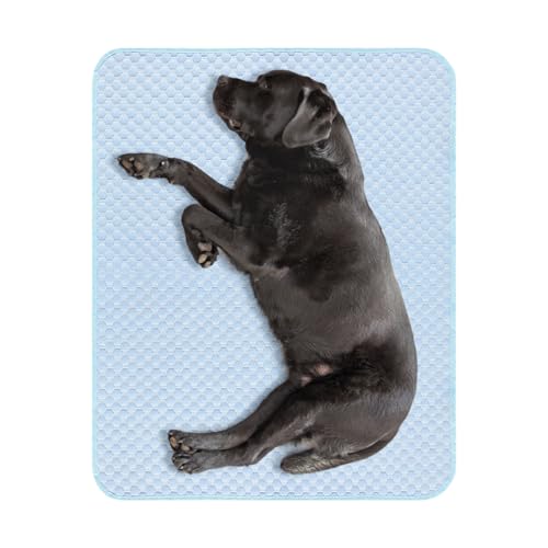 Kühlmatte für Haustiere, leicht waschbares Kühlkissen für Hunde, leicht waschbar, tragbare Bettdecke für Welpen, Kätzchen, Zuhause, pelzige Freunde, für den Innen- und Außenbereich, Eingangsbereich Kühlmatte für Haustiere, leicht waschbares Kühlkissen für Hunde, leicht waschbar, tragbare Bettdecke für Welpen, Kätzchen, Zuhause, pelzige Freunde, für den Innen- und Außenbereich, Eingangsbereich von Generisch