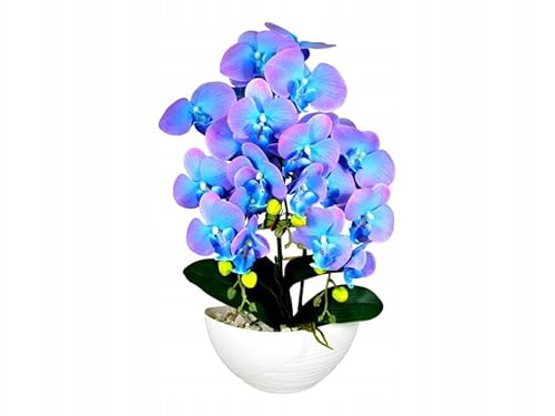 Künstliche Blumen | Künstliche Orchidee im Topf – ca. 60 cm – Realistische Kunstblume – Elegante Deko für Wohnzimmer, Büro & Bad, Latexgummi, schöne, lebendige Farbe - Blau mit Rosa Künstliche Blumen | Künstliche Orchidee im Topf – ca. 60 cm – Realistische Kunstblume – Elegante Deko für Wohnzimmer, Büro & Bad, Latexgummi, schöne, lebendige Farbe - Blau mit Rosa von Generisch