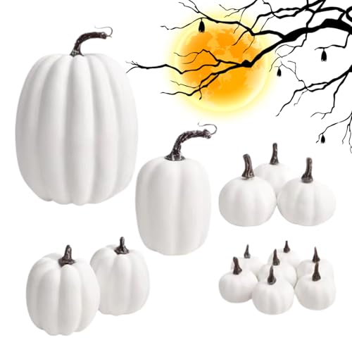 Künstliche Herbstkürbisse – Kürbis-Dekorationen | Schaumstoff-Kürbis-Deko-Set | 14-teiliges Ernte-Halloween-Dekor, Tischdekoration für Thanksgiving, Party, Herbst, Bauernhaus, Veranda Künstliche Herbstkürbisse – Kürbis-Dekorationen | Schaumstoff-Kürbis-Deko-Set | 14-teiliges Ernte-Halloween-Dekor, Tischdekoration für Thanksgiving, Party, Herbst, Bauernhaus, Veranda von Generisch