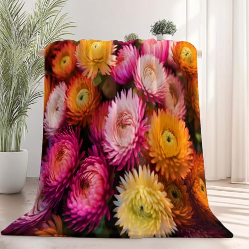 Kuscheldecke mit Blumen Nahaufnahme Chrysantheme Drucken, Rosa Gelb Weich Atmungsaktiv Überwurf 220 x 240 cm für Frauen Kinder Schlafzimmer Wohnzimmer - Pflegeleicht für Bett Couch Sofa Stuhl Büro Kuscheldecke mit Blumen Nahaufnahme Chrysantheme Drucken, Rosa Gelb Weich Atmungsaktiv Überwurf 220 x 240 cm für Frauen Kinder Schlafzimmer Wohnzimmer - Pflegeleicht für Bett Couch Sofa Stuhl Büro von Generisch