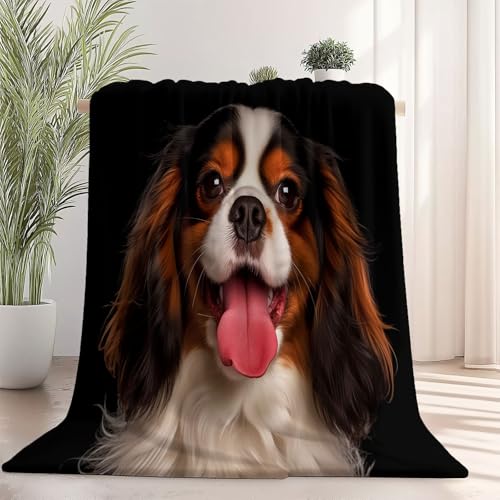 Kuscheldecke mit Tier Nahaufnahme Welpe Drucken, Schwarz Braune Weich Atmungsaktiv Überwurf 100 x 130 cm für Frauen Kinder Schlafzimmer Wohnzimmer - Pflegeleicht für Bett Couch Sofa Stuhl Büro Kuscheldecke mit Tier Nahaufnahme Welpe Drucken, Schwarz Braune Weich Atmungsaktiv Überwurf 100 x 130 cm für Frauen Kinder Schlafzimmer Wohnzimmer - Pflegeleicht für Bett Couch Sofa Stuhl Büro von Generisch