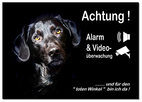 Labrador-Mischling-Alarm + Video überwachung-Schild-3 Größen-Aluminium Verbund-Hund-Tierschild-Hunde-Warnschild-Hinweisschild (1451-100= 30 x 20 cm mit 4 Löcher) von Generisch