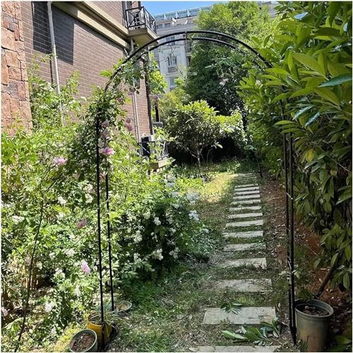 Langlebige gebogene Gartenpergola aus Metall für Kletterpflanzen, Outdoor-Pflanzen-Stützstruktur, B 2,4 x H 2,2 m, ideal für Gartenspalier und Dekoration Langlebige gebogene Gartenpergola aus Metall für Kletterpflanzen, Outdoor-Pflanzen-Stützstruktur, B 2,4 x H 2,2 m, ideal für Gartenspalier und Dekoration von Generisch