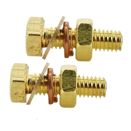 M4 M5 M6 M8 M10 M12 Messingschraubensatz – Zylinderschrauben mit metrischem Gewinde, Sechskantmuttern und Unterlegscheiben for Maschinenanwendungen(25mm,M6 (3Pcs)) von Generisch