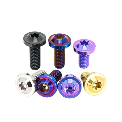 M5 M6 M8 M10 TC4 Titanlegierungskopf Tor Innensechsrund-Flachkopfschrauben for Elektroroller und Motorräder - Diebstahlsicherungsschrauben(PVD Silver,M5x30 mm) von Generisch