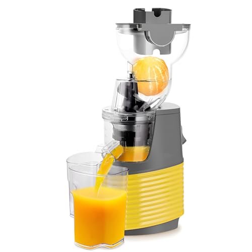Masticating Juicer Machine, 76mm Slow Press Juicer for Fruits and Vegetables, Professional Cold Press Juicer for Healthy Juicing Masticating Juicer Machine, 76mm Slow Press Juicer for Fruits and Vegetables, Professional Cold Press Juicer for Healthy Juicing von Generisch