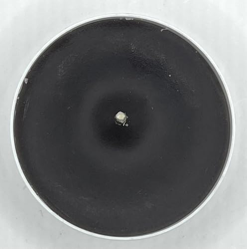 Maxi Teelichter Jumbo Teelichter im weißen Acrylcup Sonderedition extra elegante Variante (warmes grau, 6) von Generisch